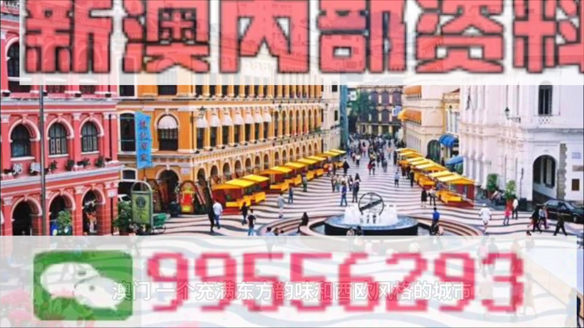新澳門免費(fèi)資料大全新牌門，澳門新牌門資料大揭秘，全新免費(fèi)資料一網(wǎng)打盡