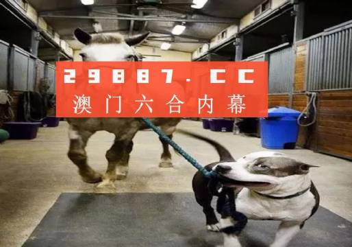 澳門(mén)一肖一碼一必中，同舟共濟(jì)共創(chuàng)輝煌，澳門(mén)一肖一碼精準(zhǔn)預(yù)測(cè)，同舟共濟(jì)共創(chuàng)輝煌未來(lái)