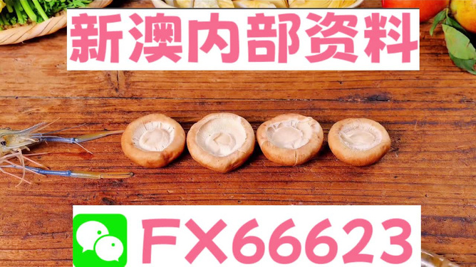 新澳正版資料免費(fèi)提供，新澳正版資料免費(fèi)分享