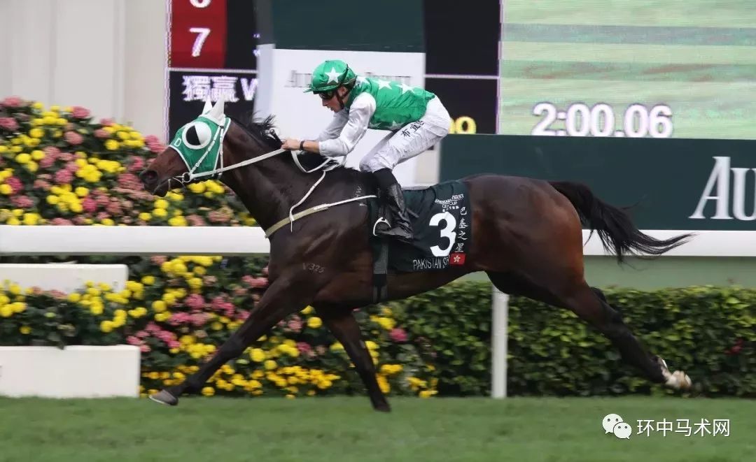 探索香港今晚特馬開彩的神秘面紗，香港今晚特馬開彩的神秘面紗揭曉