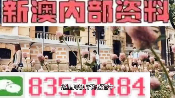 新澳門精準(zhǔn)資料大全——管家婆料的探索之旅，澳門管家婆料探索之旅，揭秘精準(zhǔn)資料大全