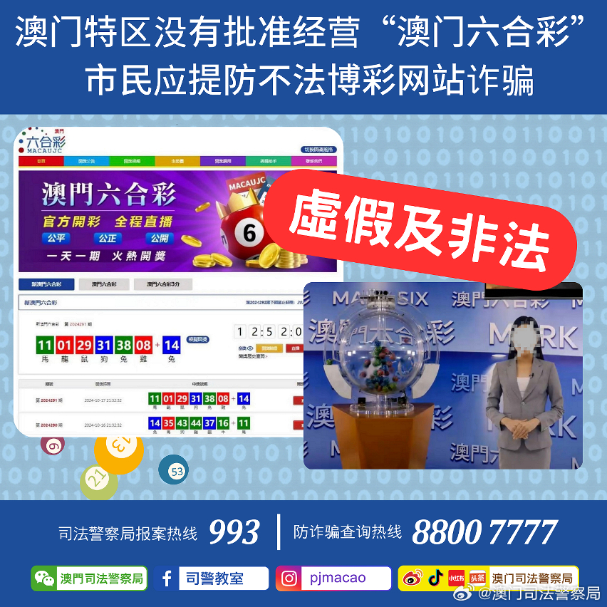 新澳門正版免費資料怎么查，澳門正版免費資料查詢指南
