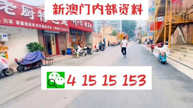 2025年澳門天天開好彩，澳門未來展望，2025年天天好彩