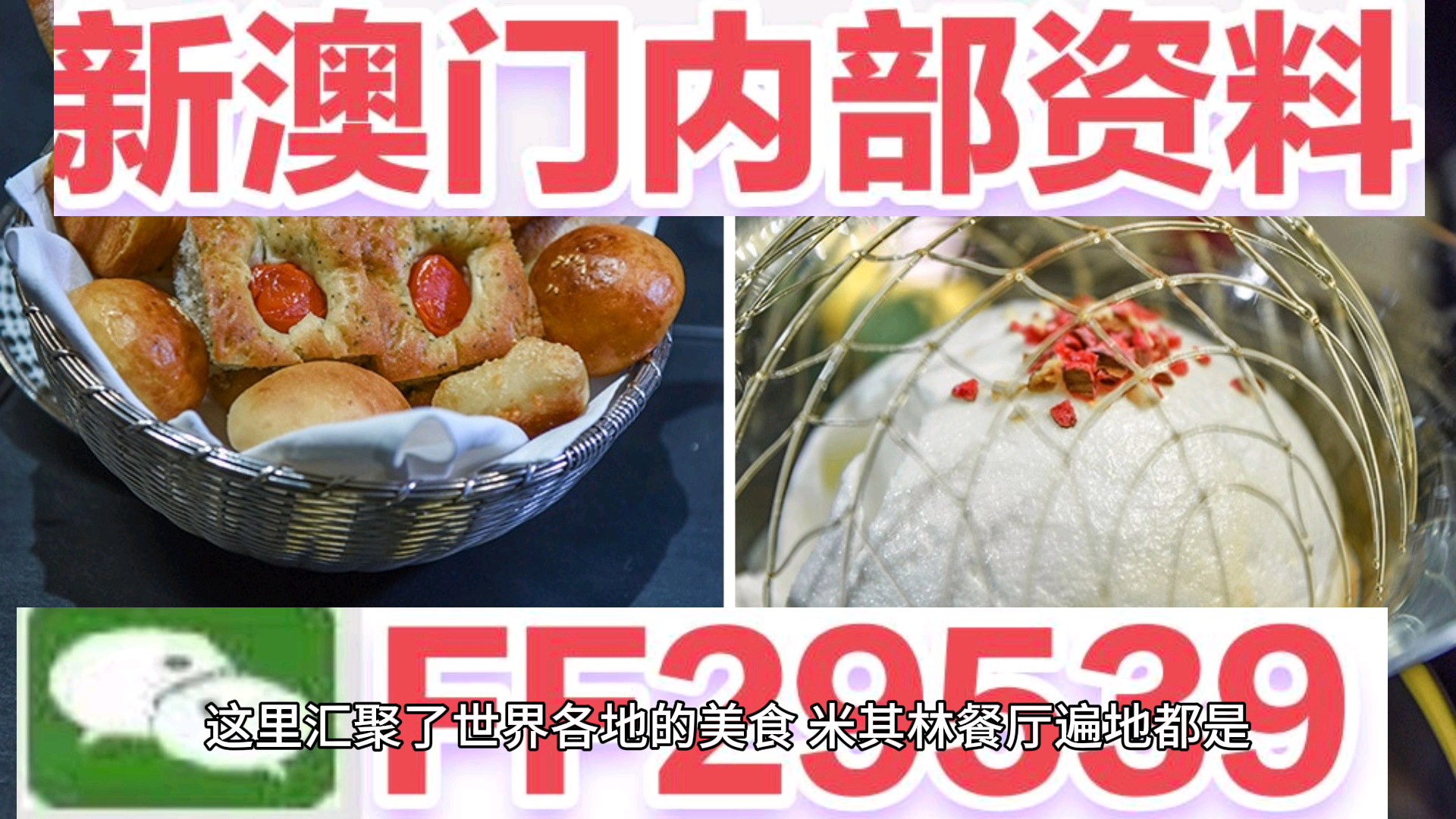 探索未來，關(guān)于澳門今晚開什么生肖的奇幻之旅，澳門生肖奇幻之旅，探索未來之夜的神秘預(yù)言