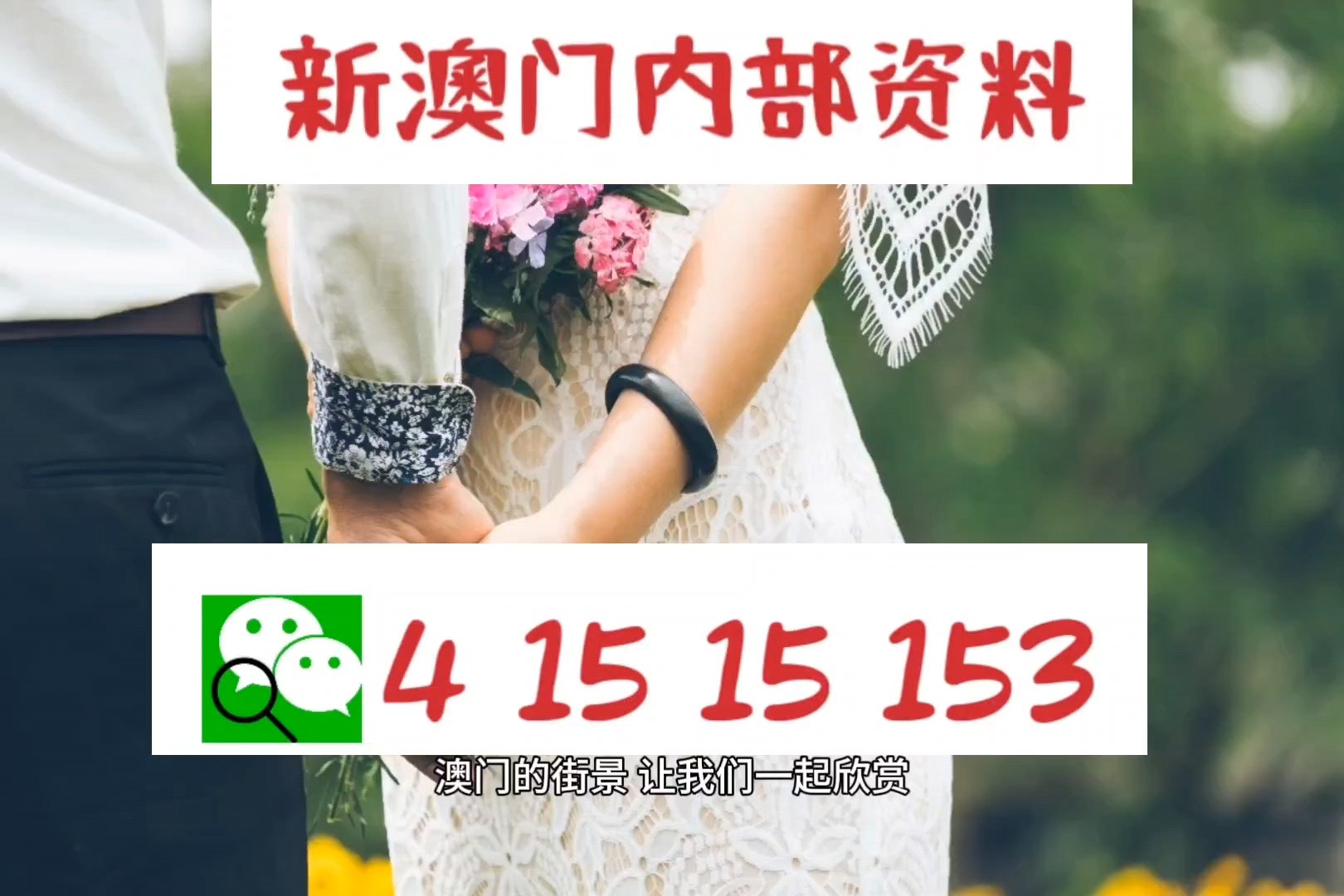 新澳精選資料免費提供，新澳精選資料免費分享