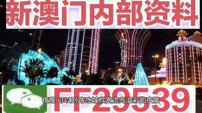 494949澳門今晚開什么454411，澳門今晚開獎號碼預(yù)測