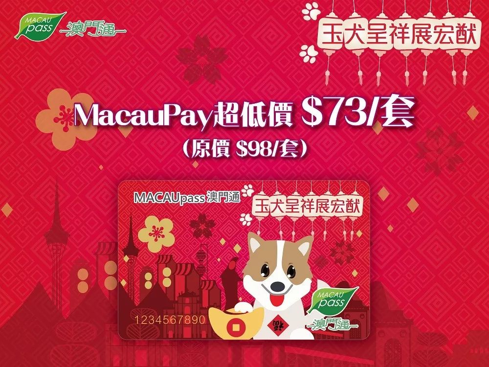 澳門正版資料大全資料生肖卡，澳門正版資料大全，生肖卡全收錄