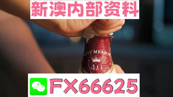 新澳門一碼一碼，揭秘100%準(zhǔn)確預(yù)測(cè)的秘密，揭秘新澳門一碼一碼，百分之百準(zhǔn)確預(yù)測(cè)的背后秘密