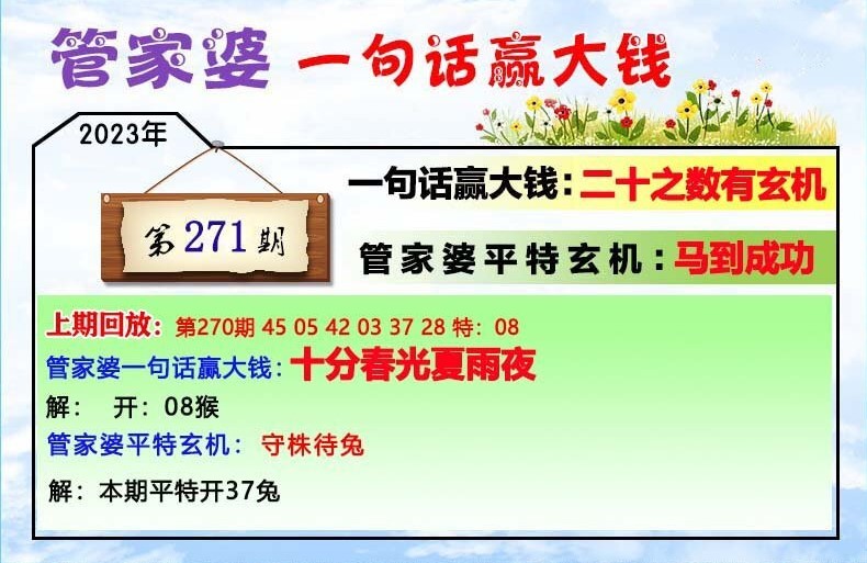 揭秘管家婆一肖一碼，網(wǎng)絡(luò)熱詞的背后故事，揭秘管家婆一肖一碼，網(wǎng)絡(luò)熱詞背后的故事探秘