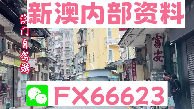 新澳精準(zhǔn)資料免費(fèi)提供510期，新澳精準(zhǔn)資料第510期免費(fèi)分享
