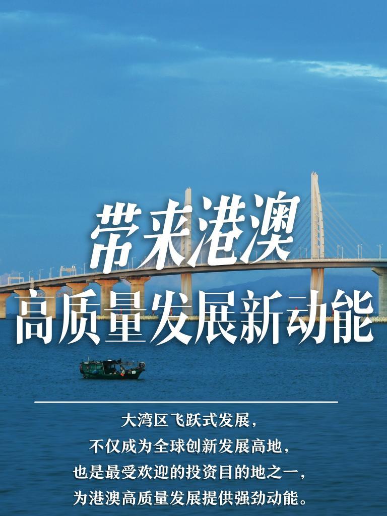 探索未來之門，2025新澳門精準(zhǔn)免費大全，探索未來之門，2025新澳門精準(zhǔn)免費大全概覽
