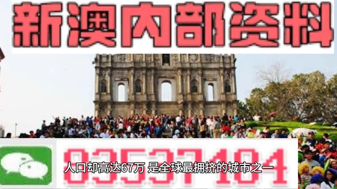 澳門正版資料免費大全新聞最新大神，一網(wǎng)打盡所有最新資訊，澳門正版資料免費大全，最新資訊一網(wǎng)打盡