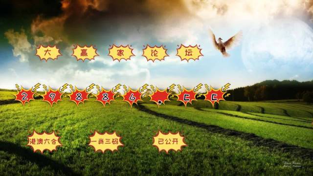 揭秘4949澳門今晚開獎(jiǎng)，熱門網(wǎng)絡(luò)語言帶你探秘彩票世界，揭秘彩票世界，熱門網(wǎng)絡(luò)語言帶你探索澳門今晚開獎(jiǎng)4949內(nèi)幕