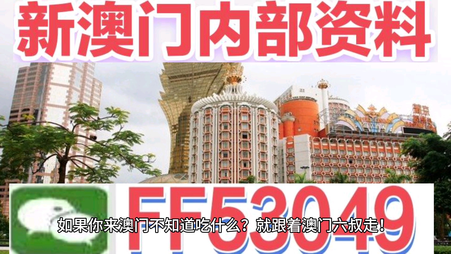 2025澳門天天開好彩精準24碼，夢想啟航，共筑未來繁榮，澳門未來繁榮，夢想啟航，精準24碼助力天天好彩
