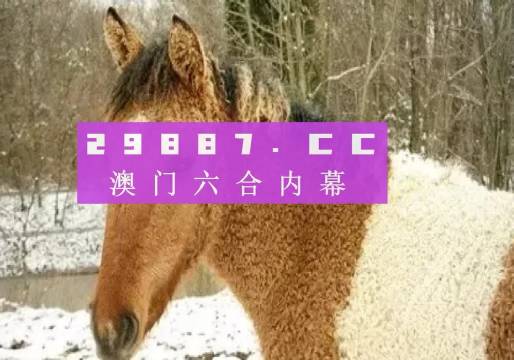 馬會(huì)傳真-澳門管家婆百分百，馬會(huì)傳真與澳門管家婆的百分百信賴合作