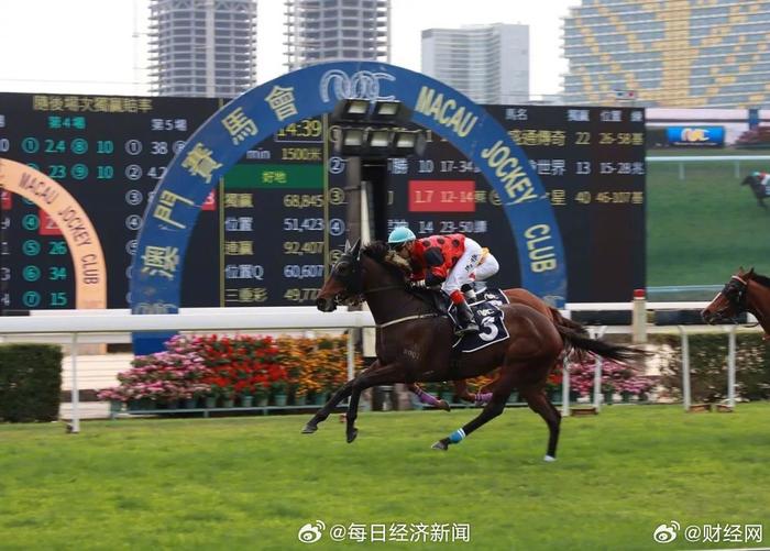 澳門賽馬會網(wǎng)址大全免費，澳門賽馬會網(wǎng)址大全，免費入口集合