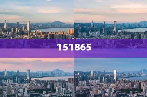 2025新澳門精準免費大全，澳門最新精準免費資料大全（2025版）