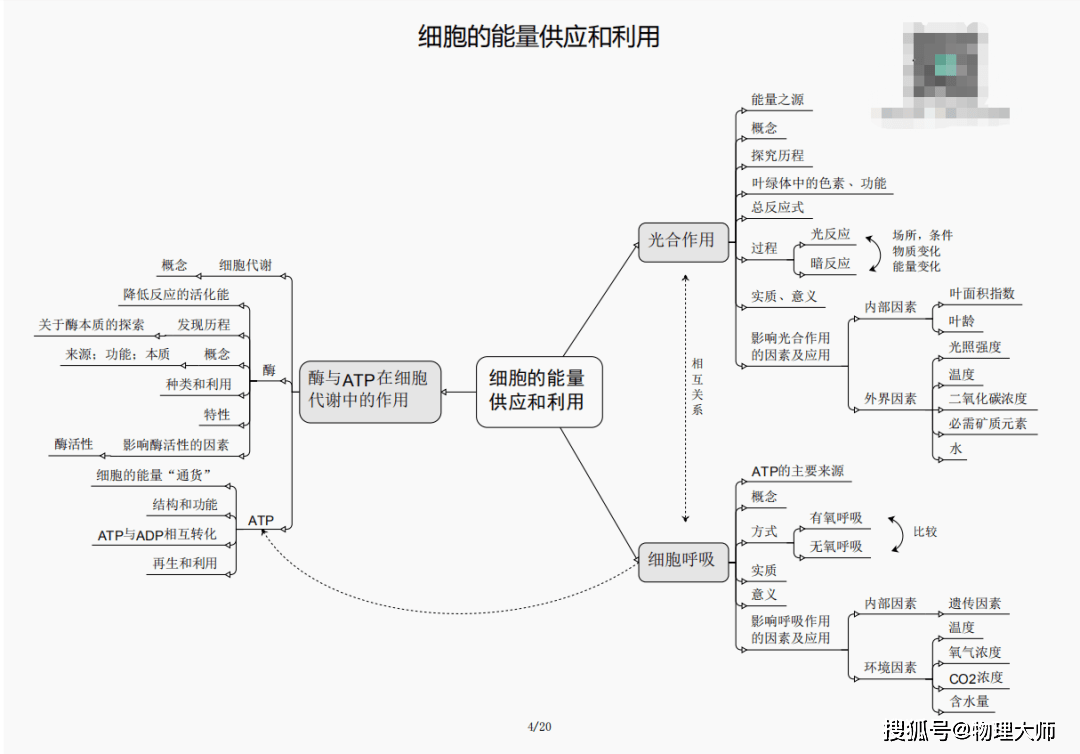 白小姐三期必出一肖種特，白小姐三期預(yù)測(cè)，神秘生肖種特揭曉