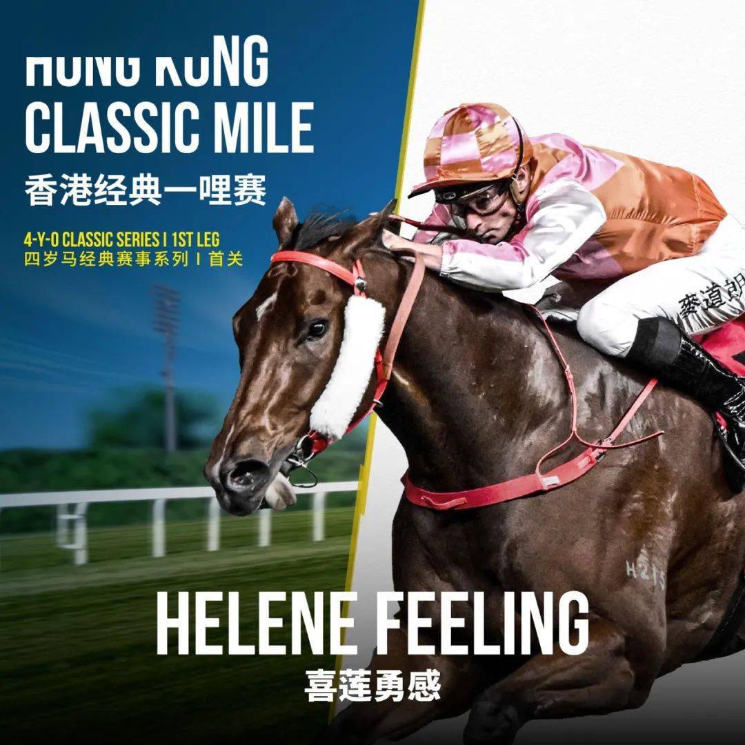 香港馬會(huì)—傳真，香港馬會(huì)傳真報(bào)道速遞