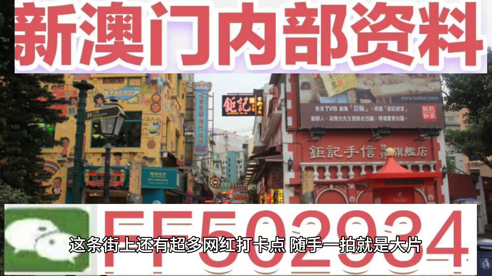 澳門正版資料大全特色解析，澳門正版資料大全特色詳解
