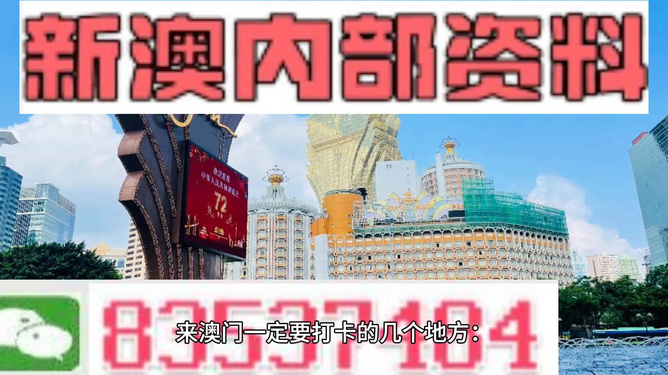 澳門最精準真正最精準，澳門精準預測，揭秘最真實準確的預測秘籍