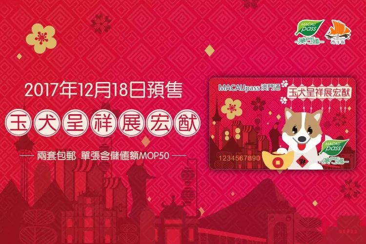澳門正版資料大全資料生肖卡的魅力與探索，澳門正版資料大全揭秘生肖卡的魅力與探索之旅