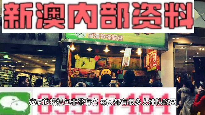 2025新澳精準(zhǔn)資料大全，2025新澳精準(zhǔn)資料大全手冊(cè)