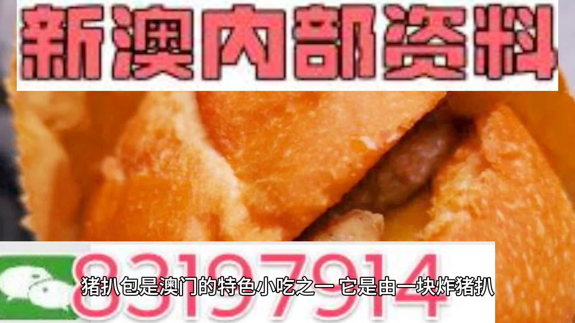 2025新澳精準(zhǔn)資料大全，2025新澳精準(zhǔn)資料大全手冊