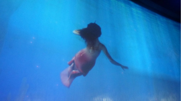 澳門美人魚，澳門美人魚表演，魅力海洋的夢幻之旅