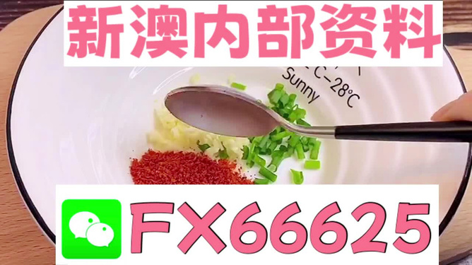 新澳全年免費資料大全，新澳全年免費資料大全匯總