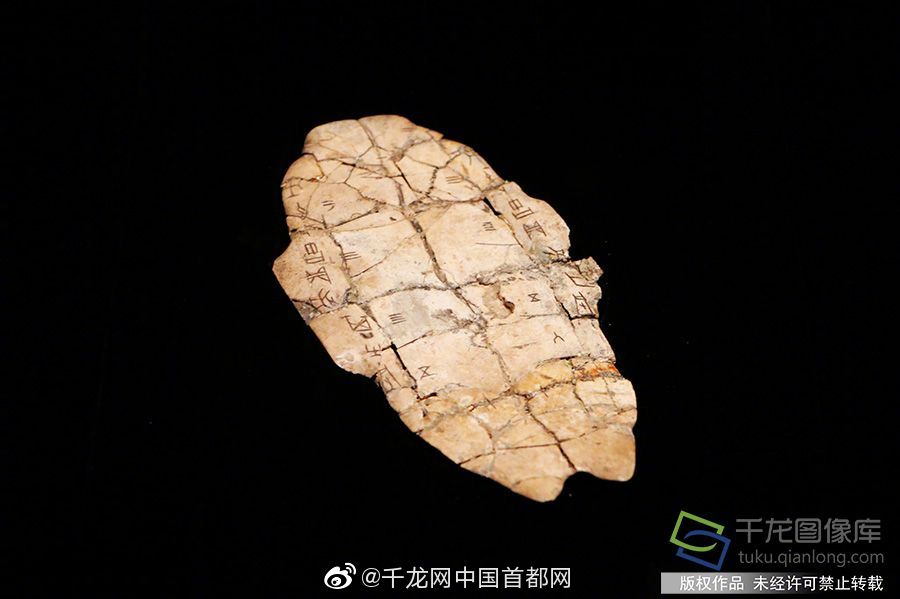 澳門(mén)藍(lán)月亮精選免費(fèi)大全，一網(wǎng)打盡熱門(mén)娛樂(lè)資訊與攻略，澳門(mén)藍(lán)月亮精選免費(fèi)大全，熱門(mén)娛樂(lè)資訊與攻略總匯