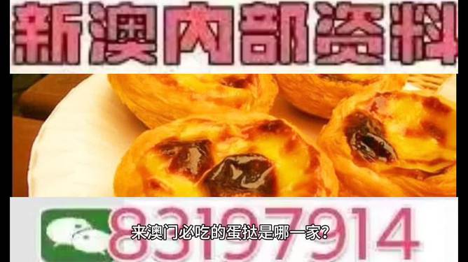 探索未來，聚焦澳門特馬之夜 2025，聚焦澳門特馬之夜 2025，探索未來之旅