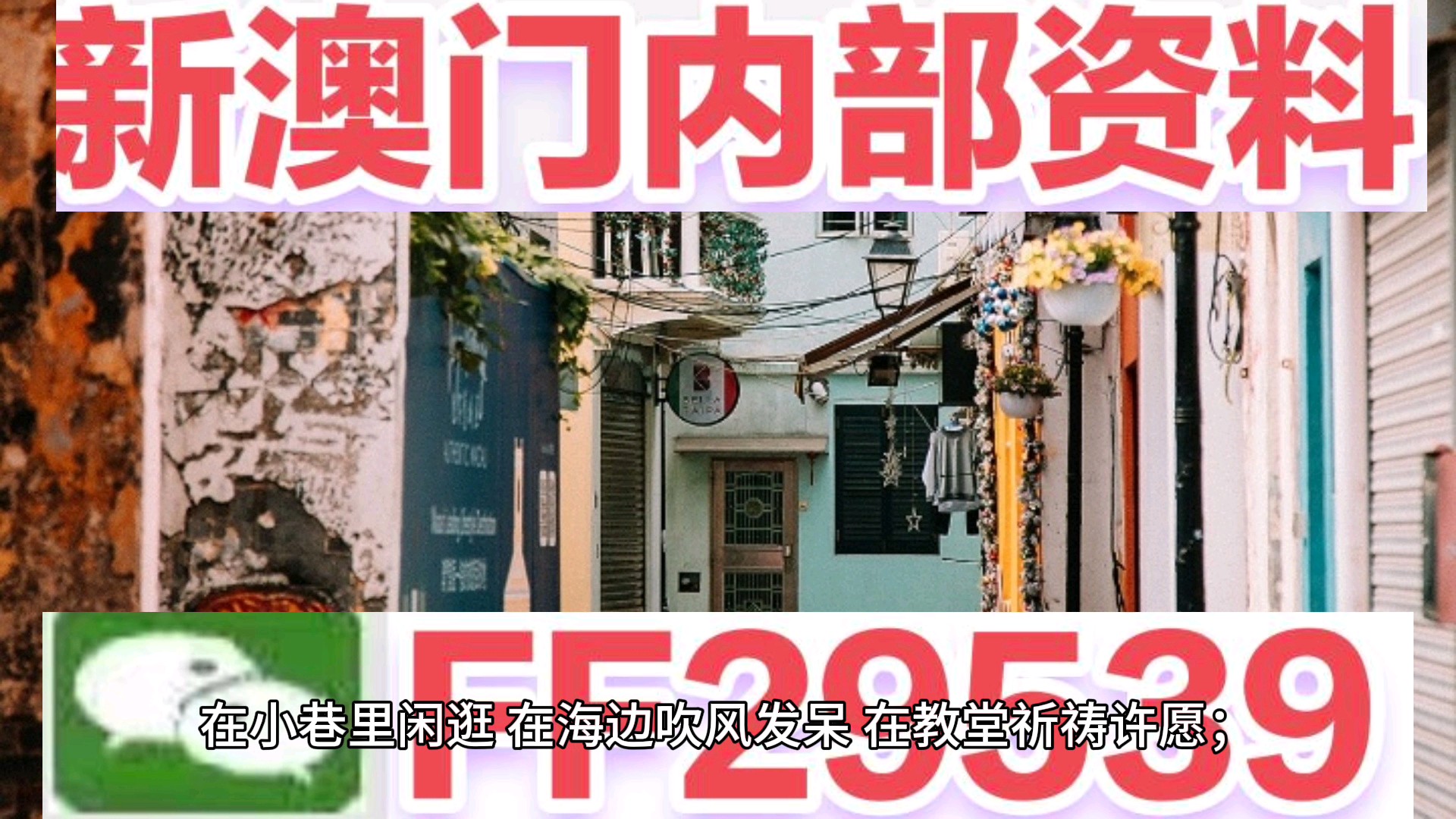 新澳門今晚開獎結(jié)果及開獎分析，澳門今晚開獎結(jié)果及深度分析