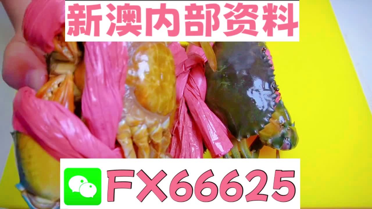 揭秘2025新澳精準(zhǔn)資料大全，深度解析與前瞻展望，揭秘2025新澳精準(zhǔn)資料大全，深度解析及未來展望