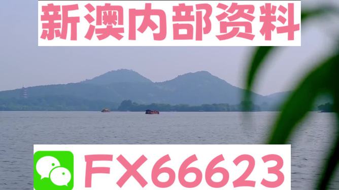 新澳今天最新資料解析，新澳今日最新資料深度解析
