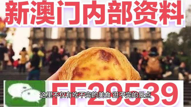 2025年新澳門今晚開獎結(jié)果查詢，澳門彩票開獎結(jié)果查詢 2025年今晚最新資訊