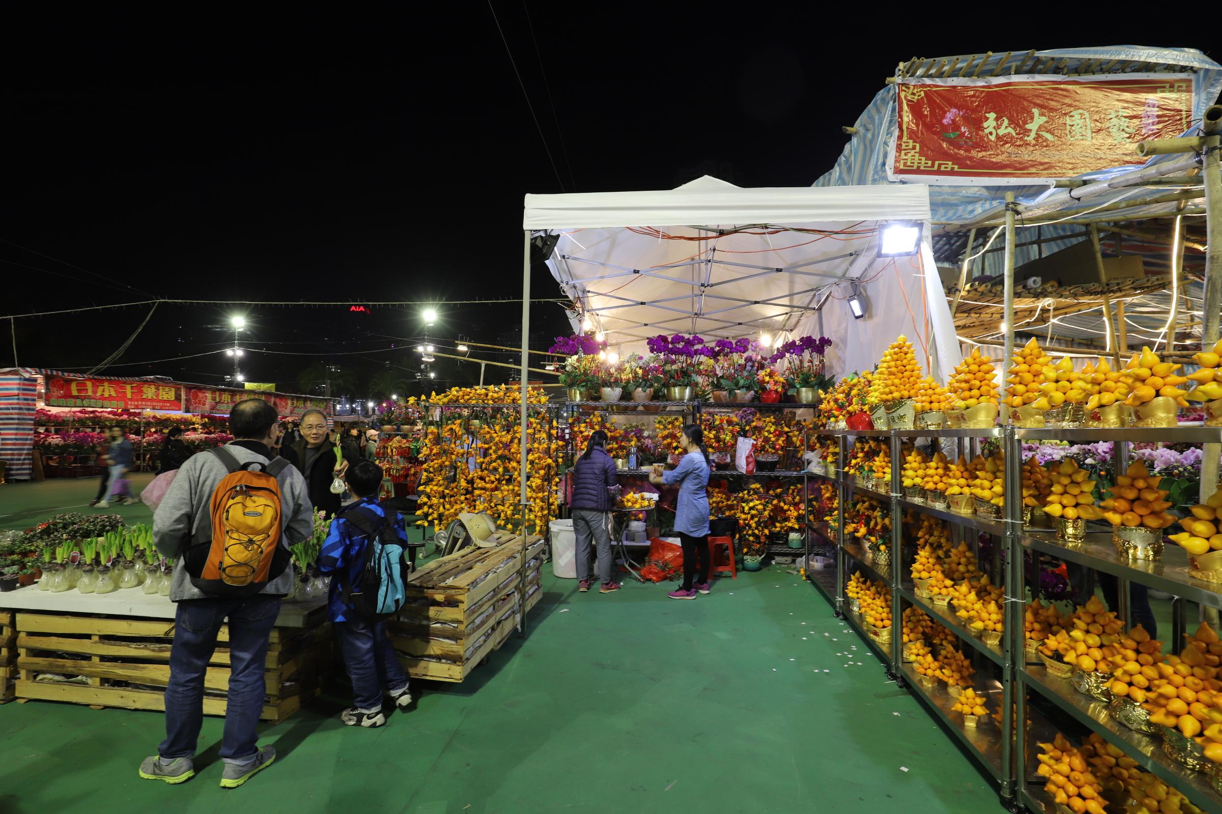 香港正版資料免費(fèi)大全生肖表2025，全面解析與深度解讀，香港正版資料全面解析與深度解讀，生肖表2025免費(fèi)大全