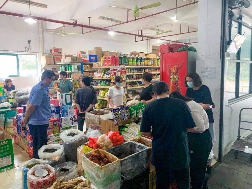 新澳門掛牌正版完掛牌記錄怎么查，澳門掛牌正版完掛牌記錄查詢攻略
