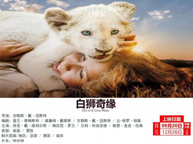 揭秘白小姐奇緣，正版資料大全與四肖奇緣揭秘，揭秘白小姐奇緣，正版資料與四肖奇緣大揭秘