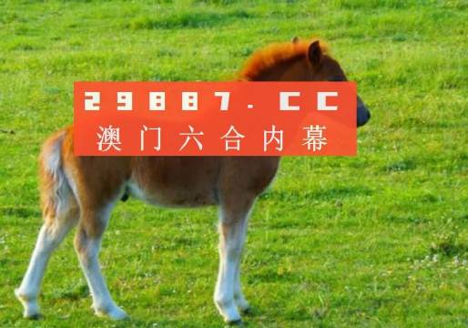 澳門(mén)答家婆一肖一馬一中一特，揭秘背后的故事與魅力，澳門(mén)答家婆背后的故事與獨(dú)特魅力揭秘