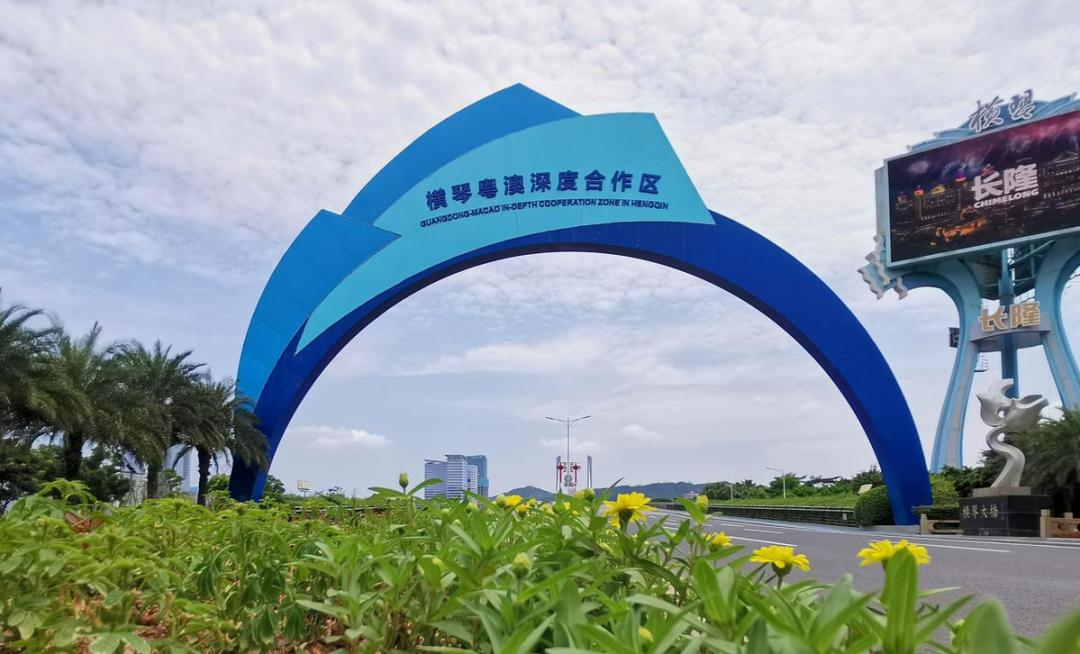 新澳門正牌掛牌之全篇章，新澳門正牌掛牌全解析