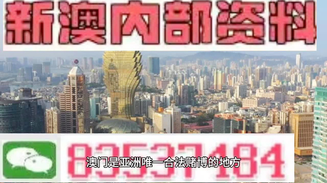 新澳門免費(fèi)資料大全——在線查看的便捷之道，澳門免費(fèi)資料大全，在線便捷查閱指南